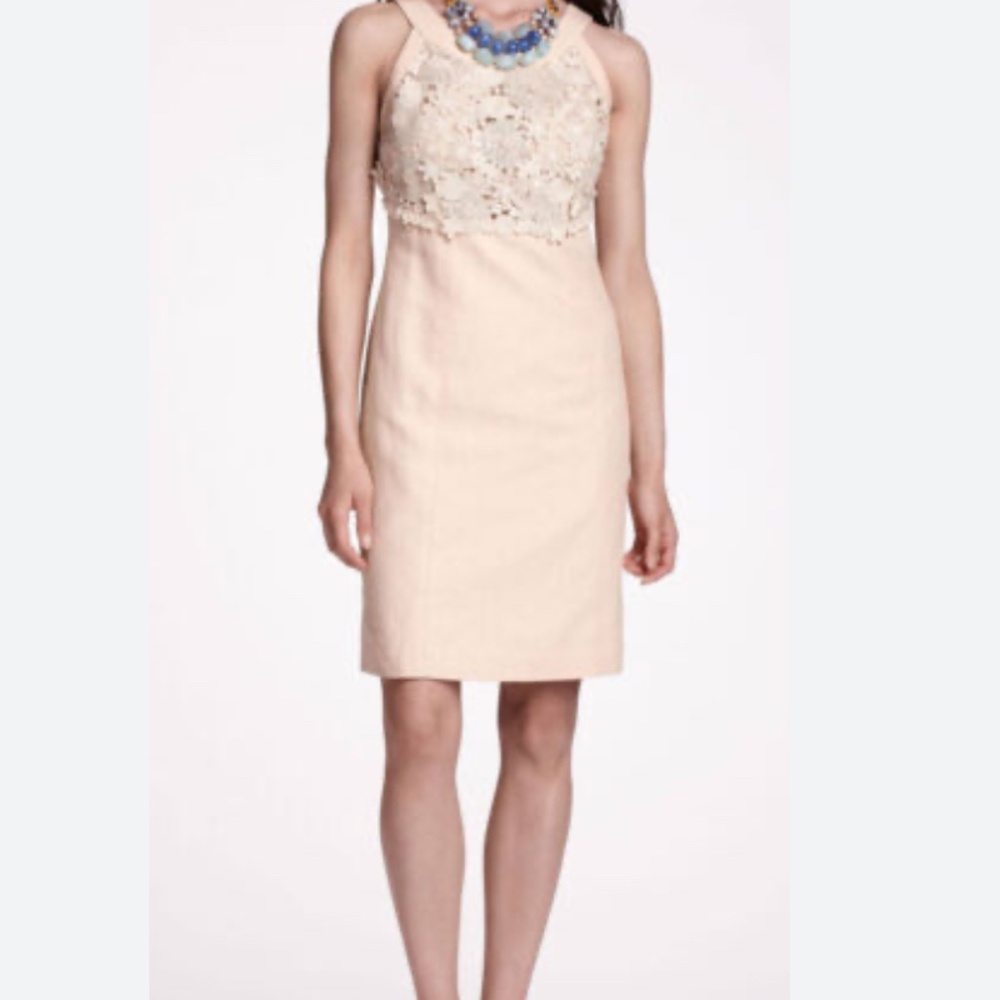 Anthropologie Tan Linen Oleander Lace Crochet Sleeveless Sheath Dress SZ 8 (6)